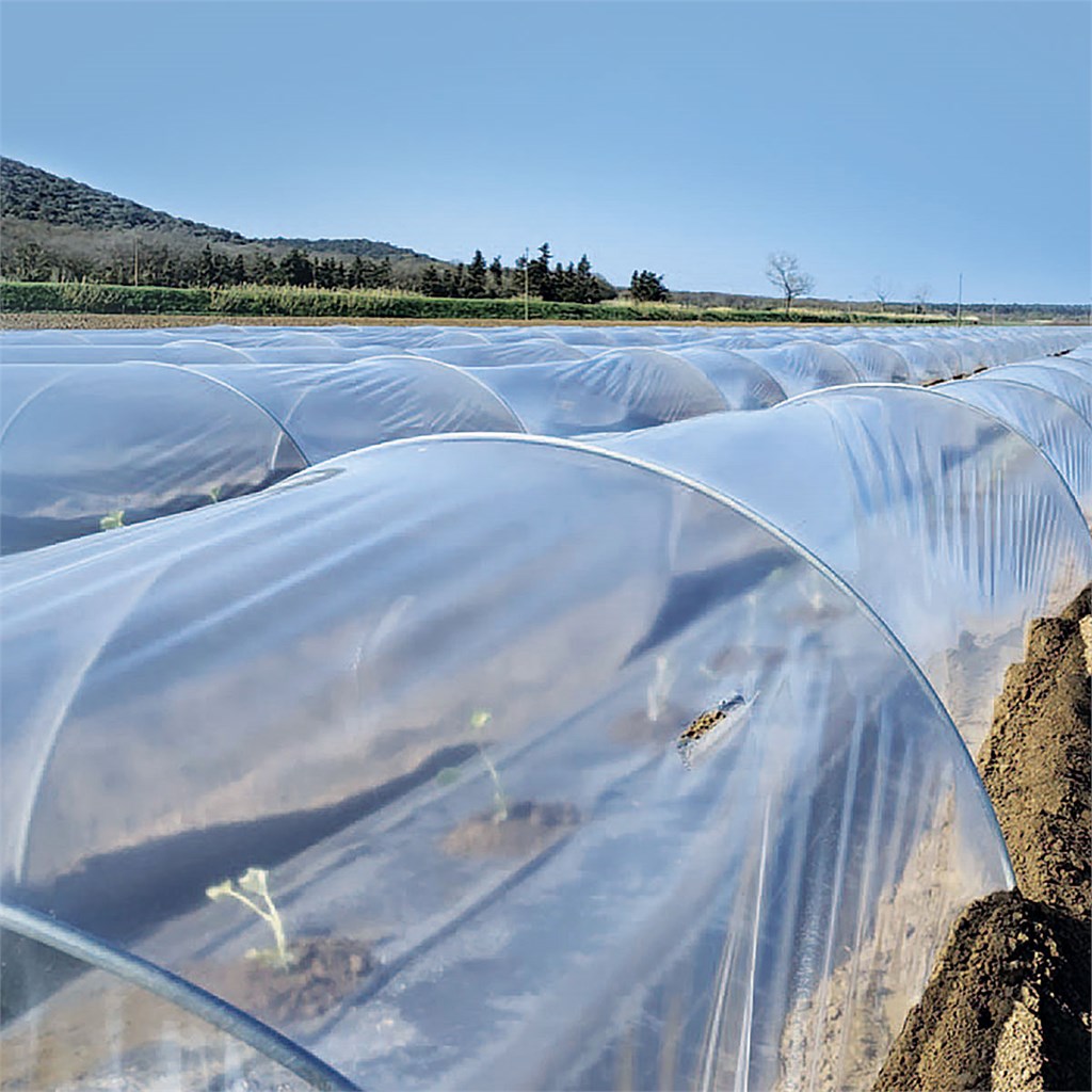 FILM PE NEUTRO 0,05  MT. 1,6 X 1000  BOBINA